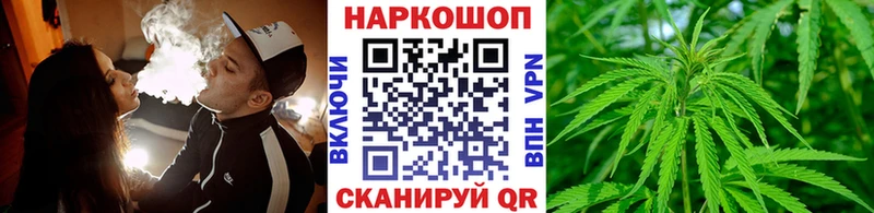 Как найти закладки Новая Ладога Бошки Шишки  Псилоцибиновые грибы  ГАШ  Cocaine 