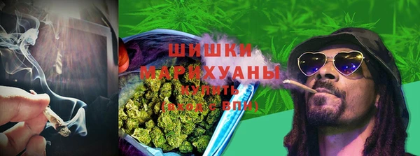 индика Зеленокумск