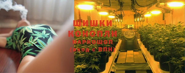 соль ск Строитель