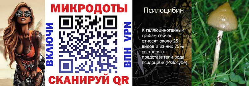 Псилоцибиновые грибы MAGIC MUSHROOMS  дарнет шоп  Новая Ладога 